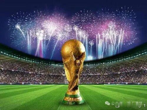 转播权价格开出印度的 17倍很明显FIFA把我们当成大冤种了，但是国足没进世界杯