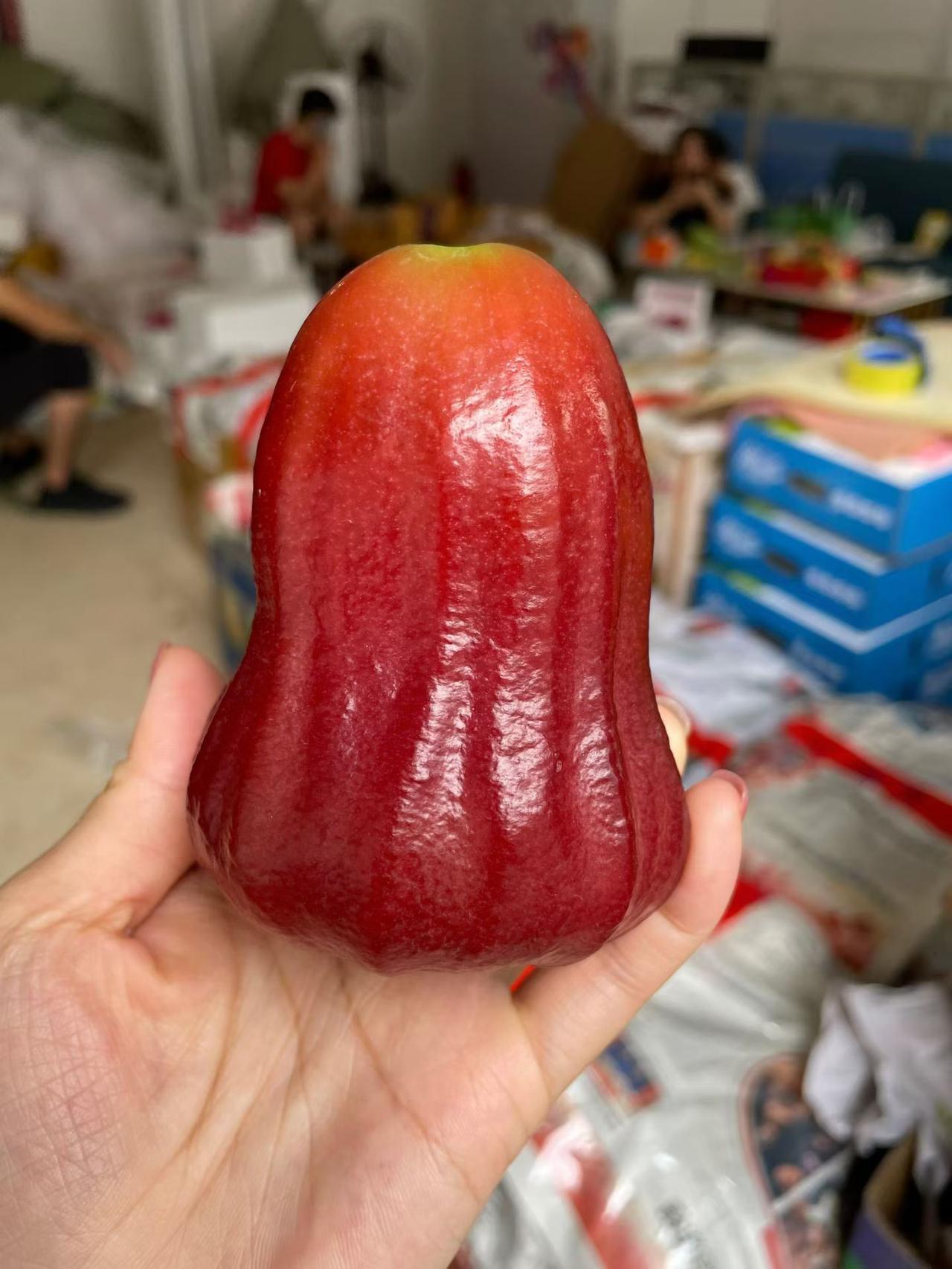 退休后：最好的风景在自家阳台
 
退休才发现，享受不是环游世界，而是阳台晒太阳、