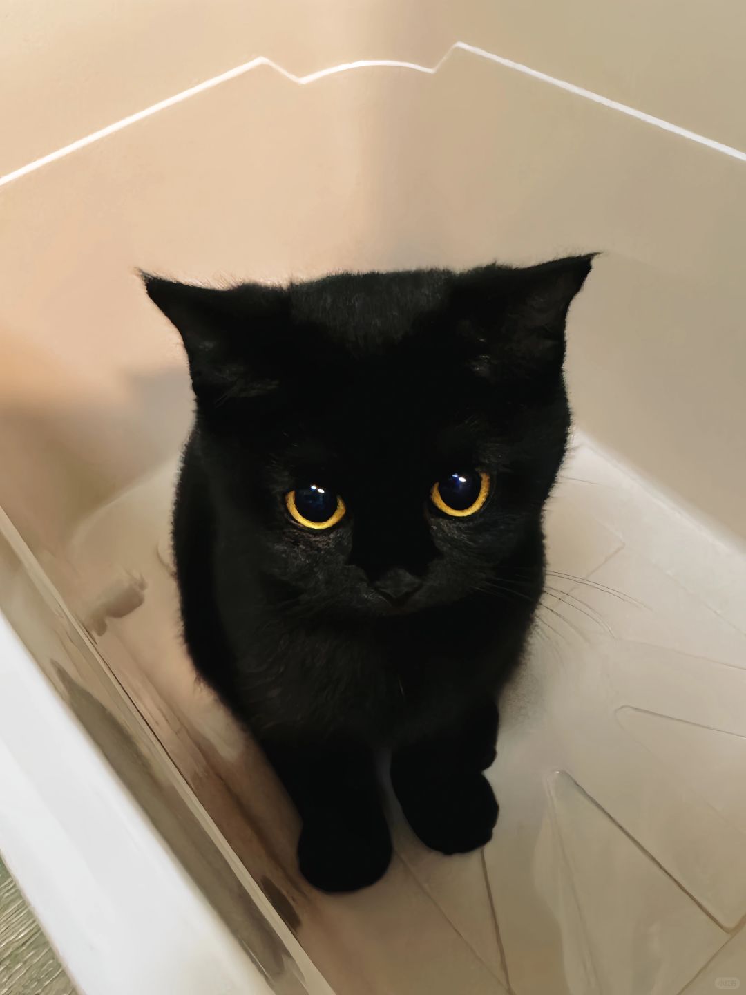 她好像还把自己当个宝宝