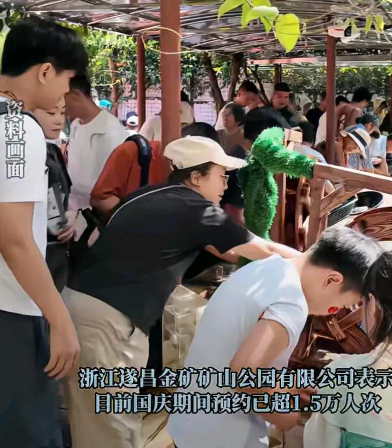 金矿游火了，淘到金子能带走，有景区预约人次超过1.5万人次，
淘金池累计投入金箔