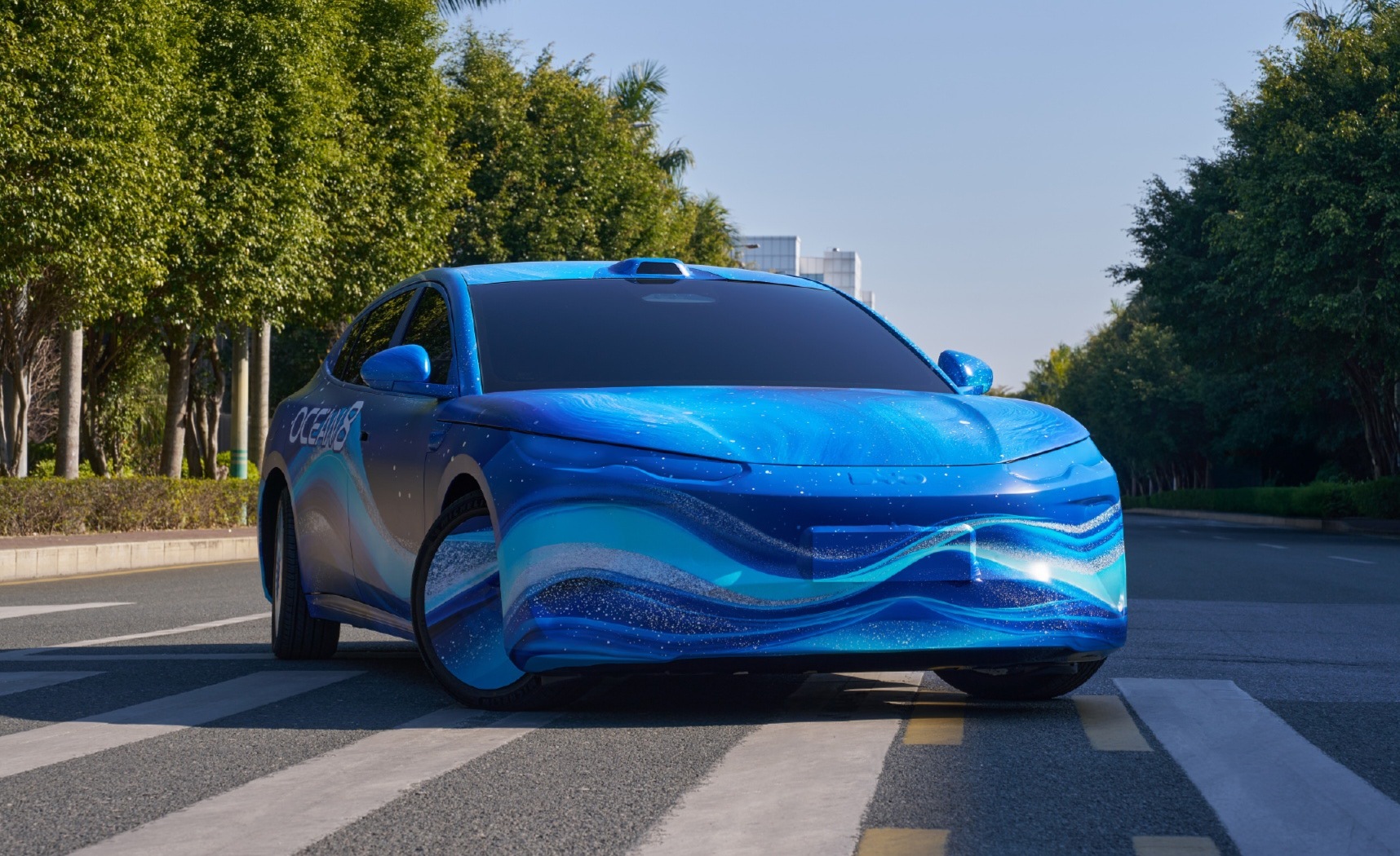 比亚迪海狮08、海豹08，海洋网杀器