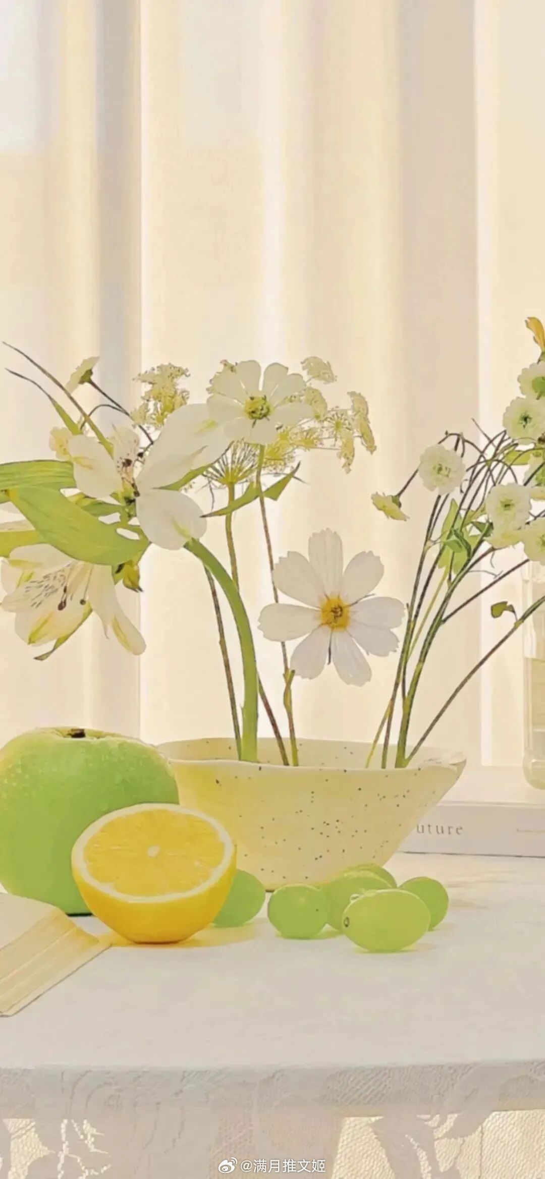 “对着山谷呼喊，回答你的不是自己的声音，而是整座山的记忆。”—— 约翰·缪尔《夏