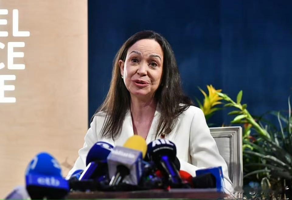 据《华尔街日报》援引一位知情人士的消息报道，委为瑞拉反对派领导人马查多戴着假发、