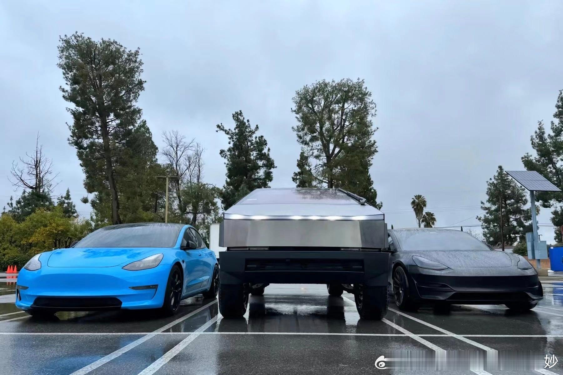 #特斯拉[超话]#﻿$特斯拉(TSLA)$﻿ 会当凌绝顶，一览众山小⛰️ ​​​