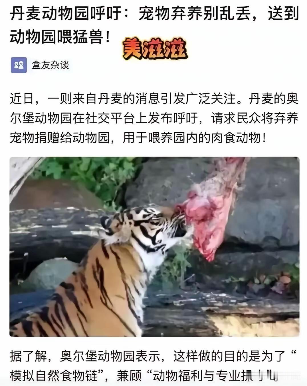 宠物喂老虎，丹麦动物园这个倡议很好
宠物养不了了，不想要了，不让它流浪，不要遗弃