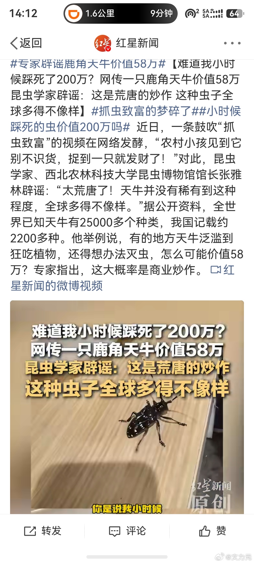 小时候踩死的虫价值200万吗？？？！！！好家伙，那我最少糟蹋了上千万