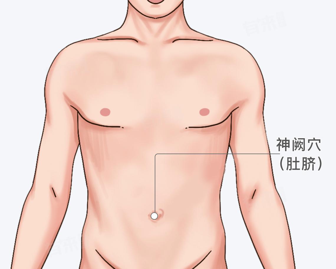 109穴神阙穴
 肚脐正中央，就是神阙穴。
 
1. 温阳救逆、大补元气
补一身