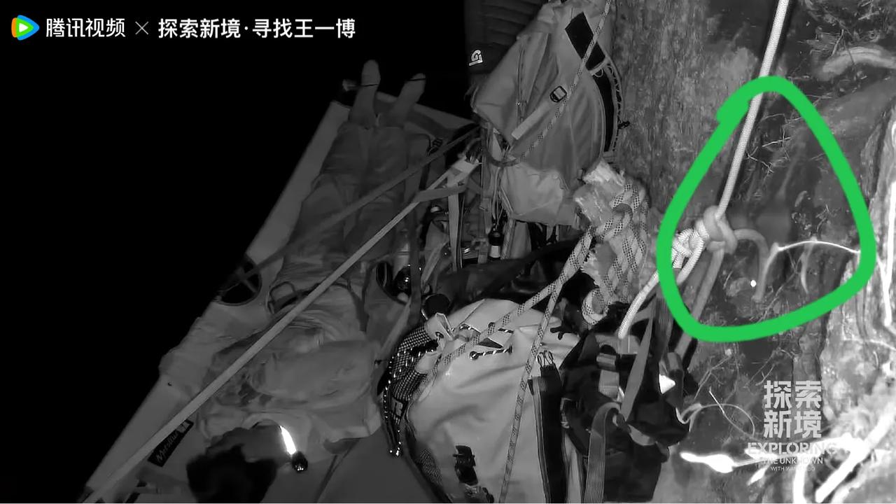 睡在岩壁上半夜“来访”的不速之客[捂脸]
我的天啊！那么高的岩壁上居然还有老鼠？