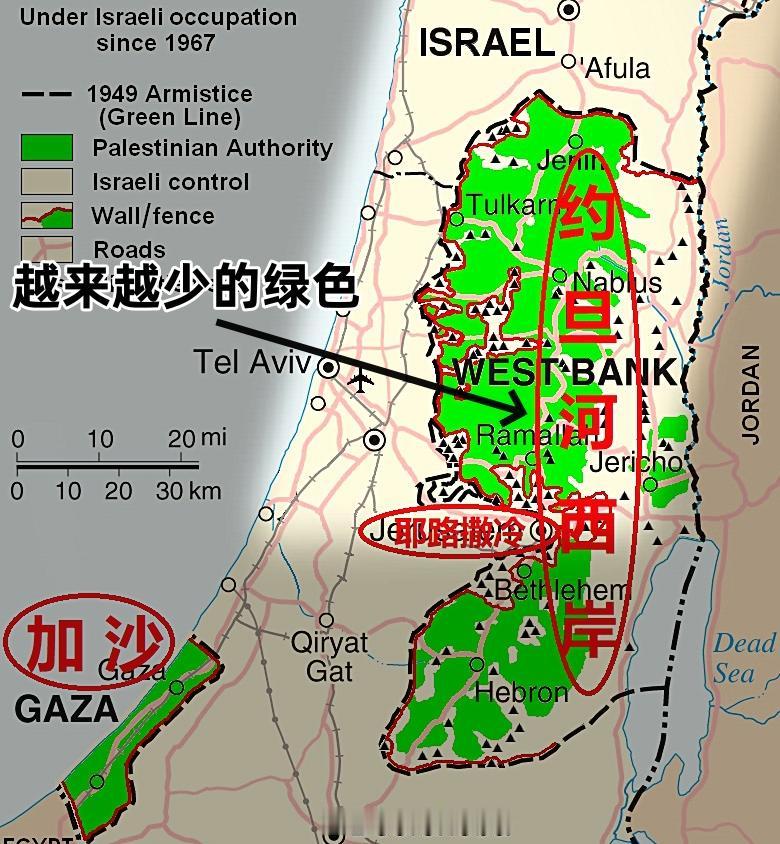 非法还是合理？以色列取消百年购地禁令，约旦河西岸法理彻底改写
 
当地时间2月8
