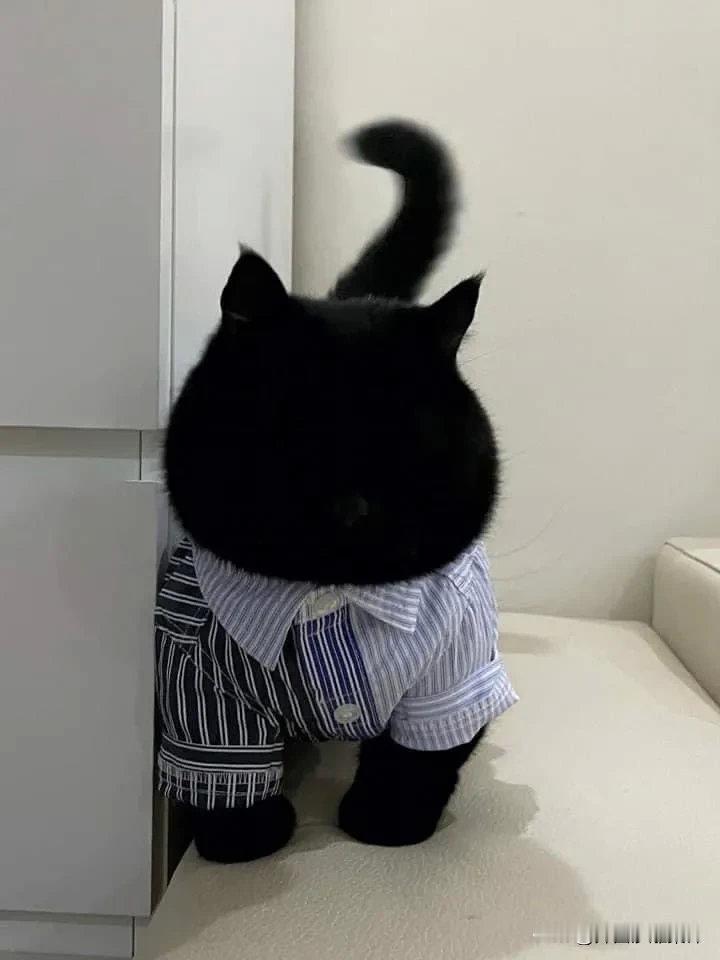 长得真黑啊，[捂脸]简直是一片漆黑呀😍~ 