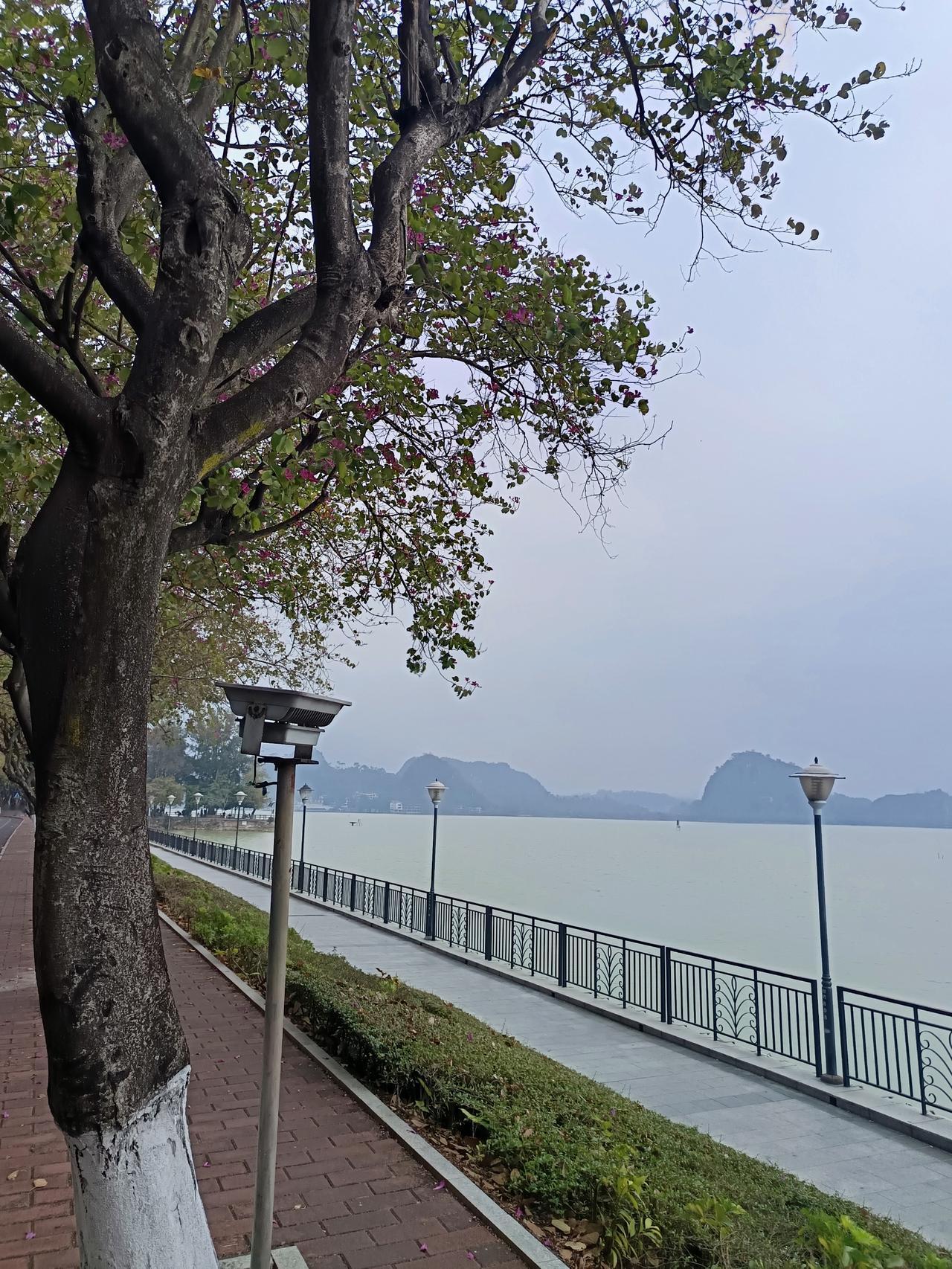 有一件事
我不知道怎么说才好
我发现肇庆有一个很严重的问题




你敢相信吗？