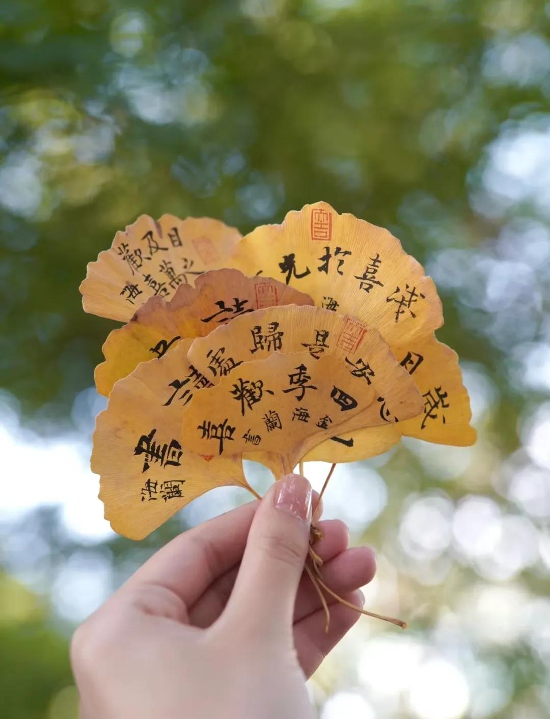 拾一片秋叶，
写上我的祝福，
借一朵秋云，
送去我的问候。
金秋时节，
愿我们共