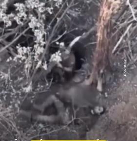 图文：视频显示一名俄军士兵拒绝战友进入掩体结果都被乌军无人机击毙

来自乌克兰第