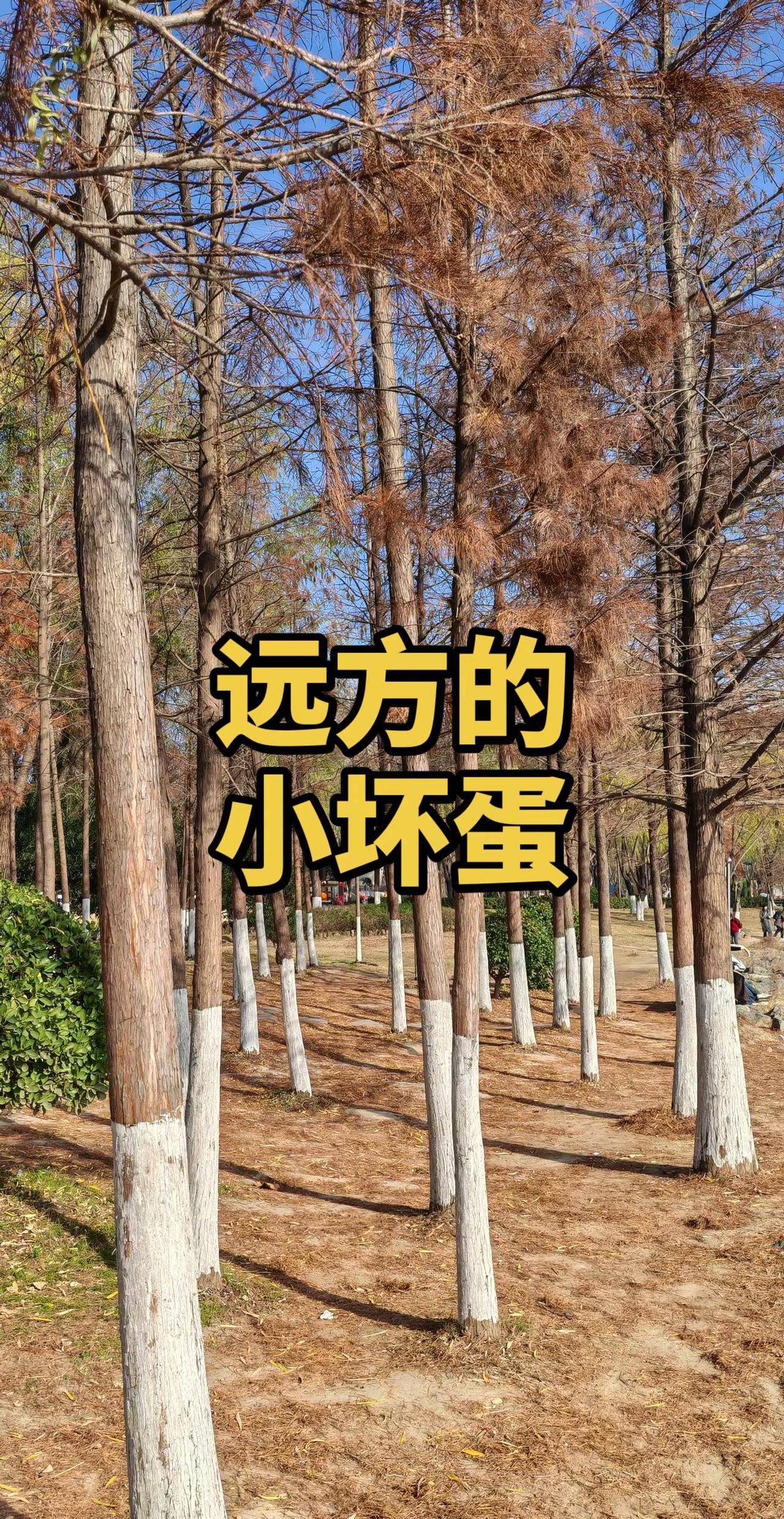 抖出你的家乡美景 记录家乡美景 自然风景随拍