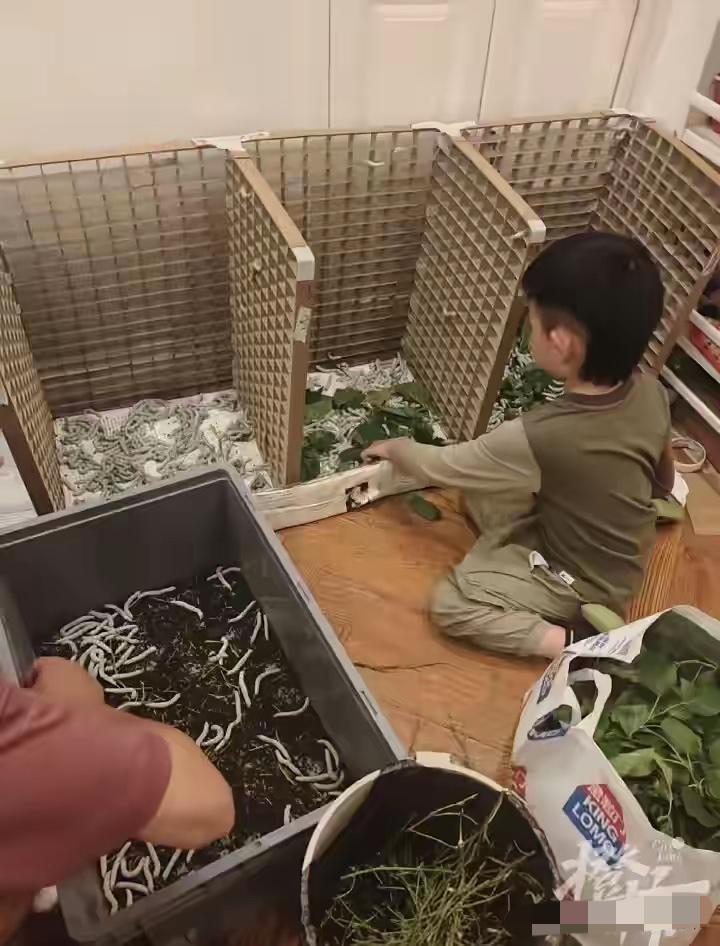 太疯狂了！5月19日报道，武汉，一对夫妻被六岁儿子随口一句想盖蚕丝被打动，直接网