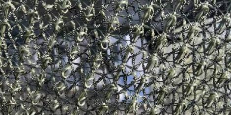 乌克兰无人机横行的好日子要到头了？谁也没料到，终结它们的不是更先进的防空导弹，而