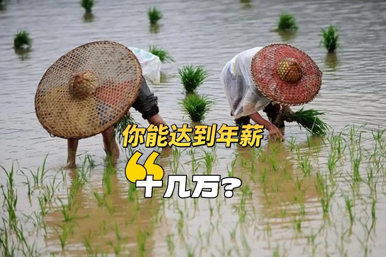 专家最近喊得震天响，说中国最晚明年就要冲进“高收入国家”俱乐部了，人均国民收入要