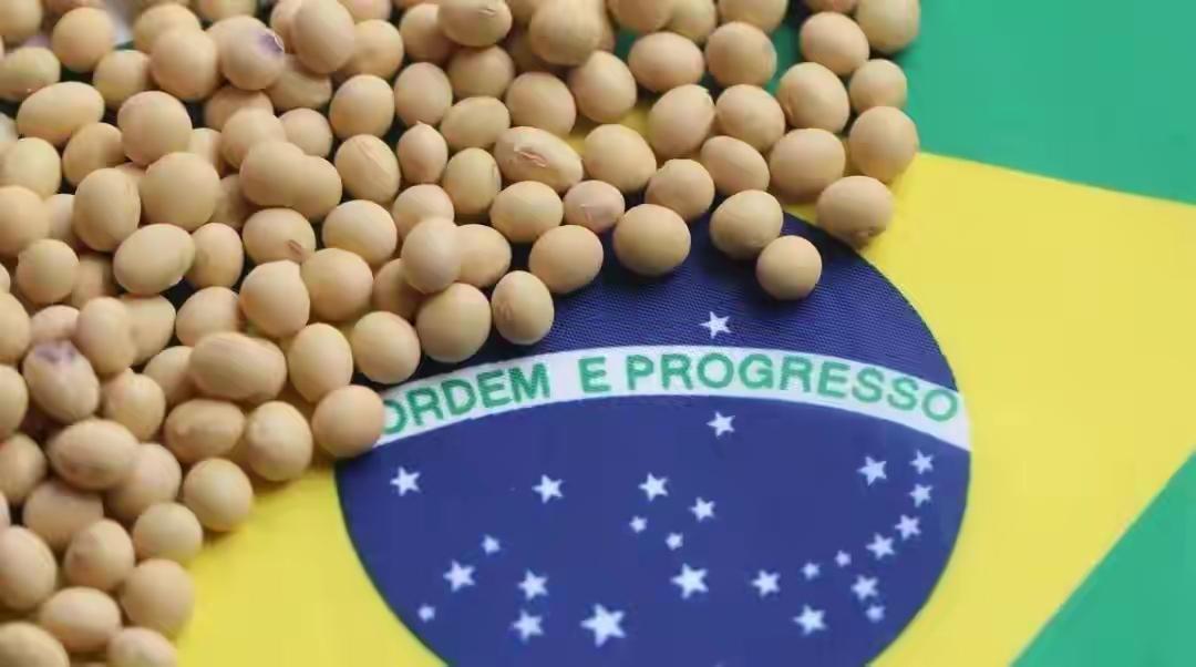 美国豆农感激中国订单但心里仍有不安

在美国的广袤农田上，豆农们一边计算着今年的