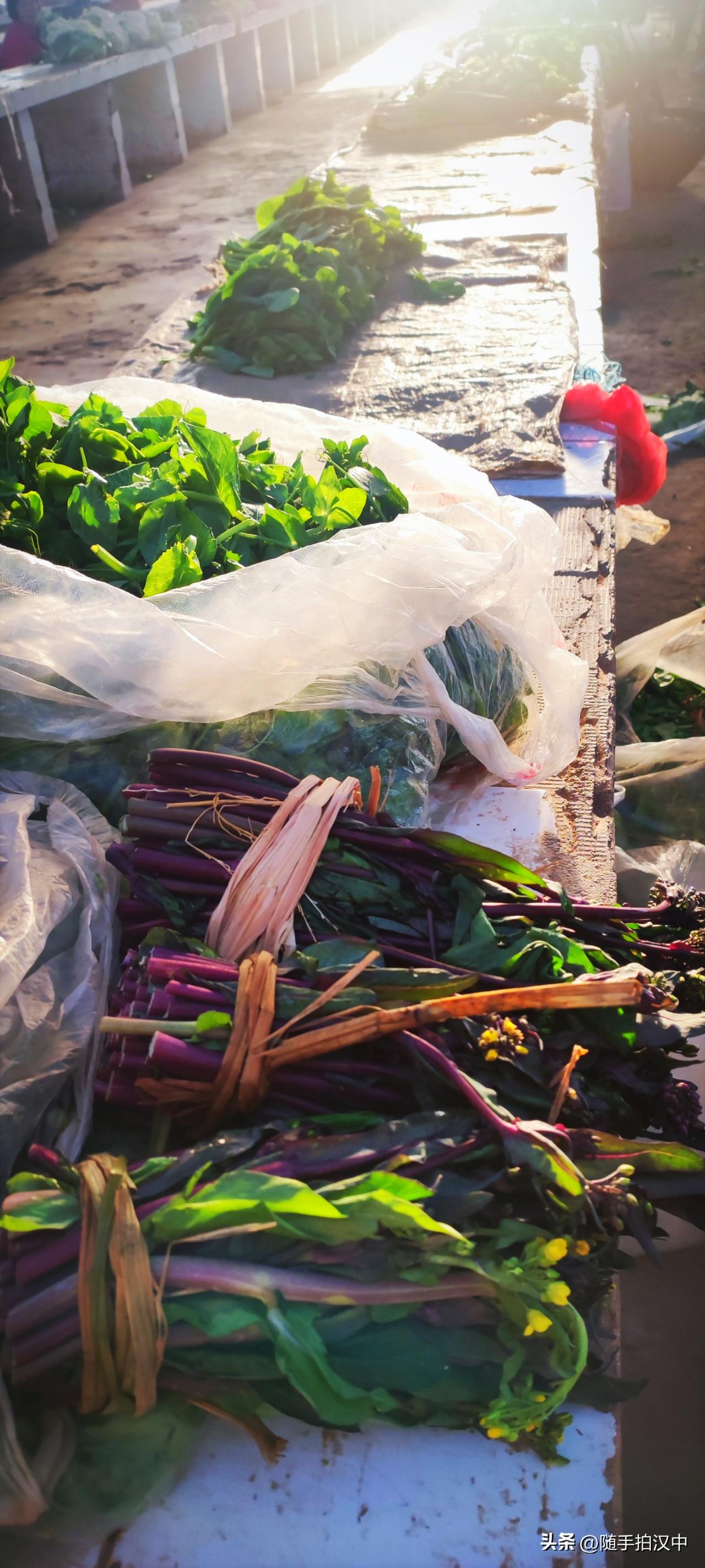 新年生活图鉴友人说特别喜欢这种菜苔，紫皮的。还笑眯眯的告诉我：“我就是喜欢这口微