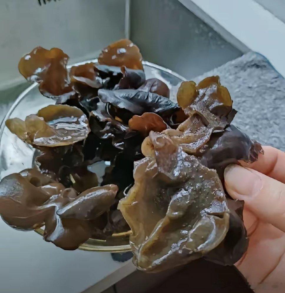 在一大主播那花了49.9元买了两袋黑木耳，介绍说是正宗东北小碗耳，假一赔万。觉得