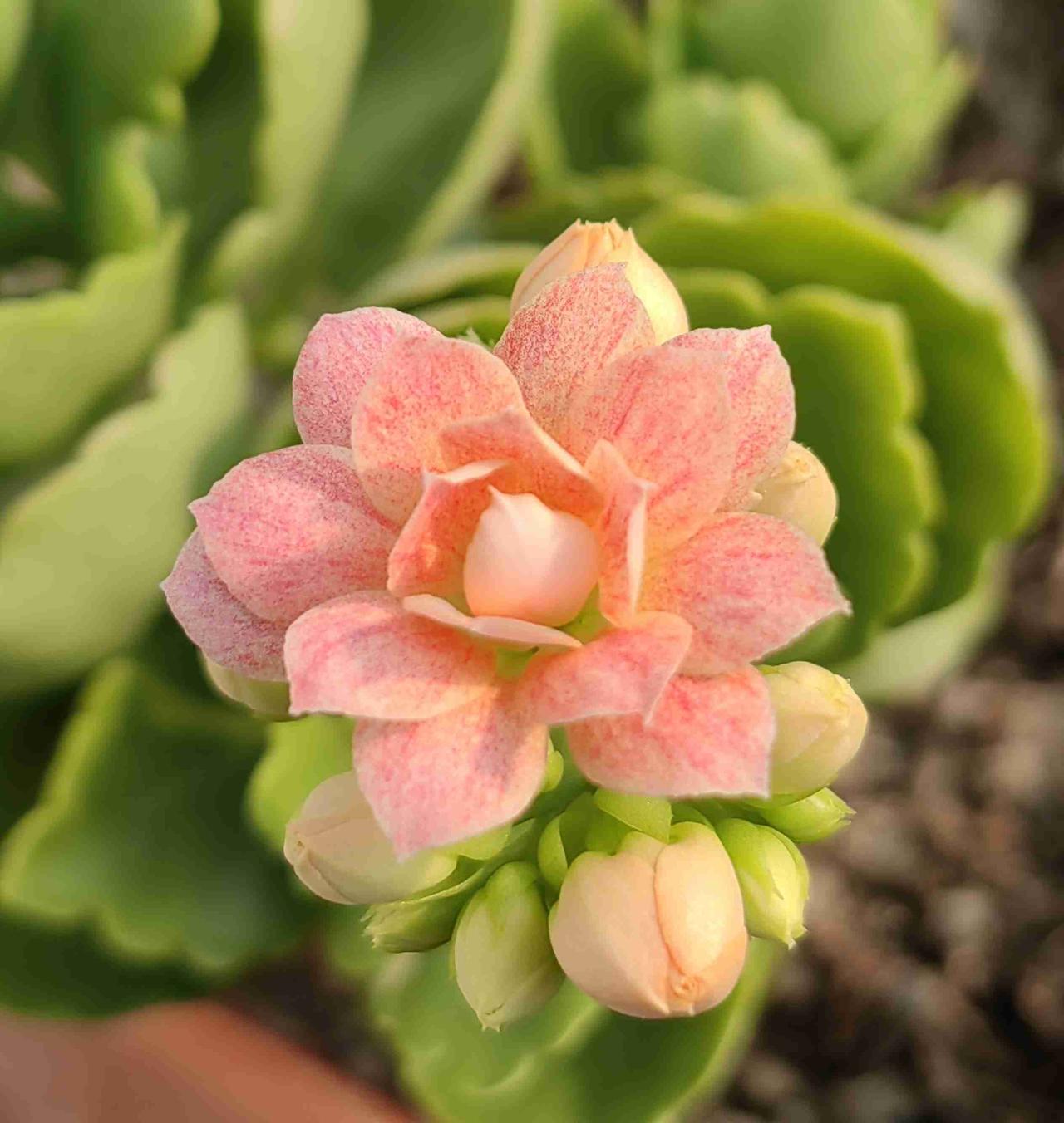 我的今日状态：😁轻松愉快
我这里的天气：☀️晴天