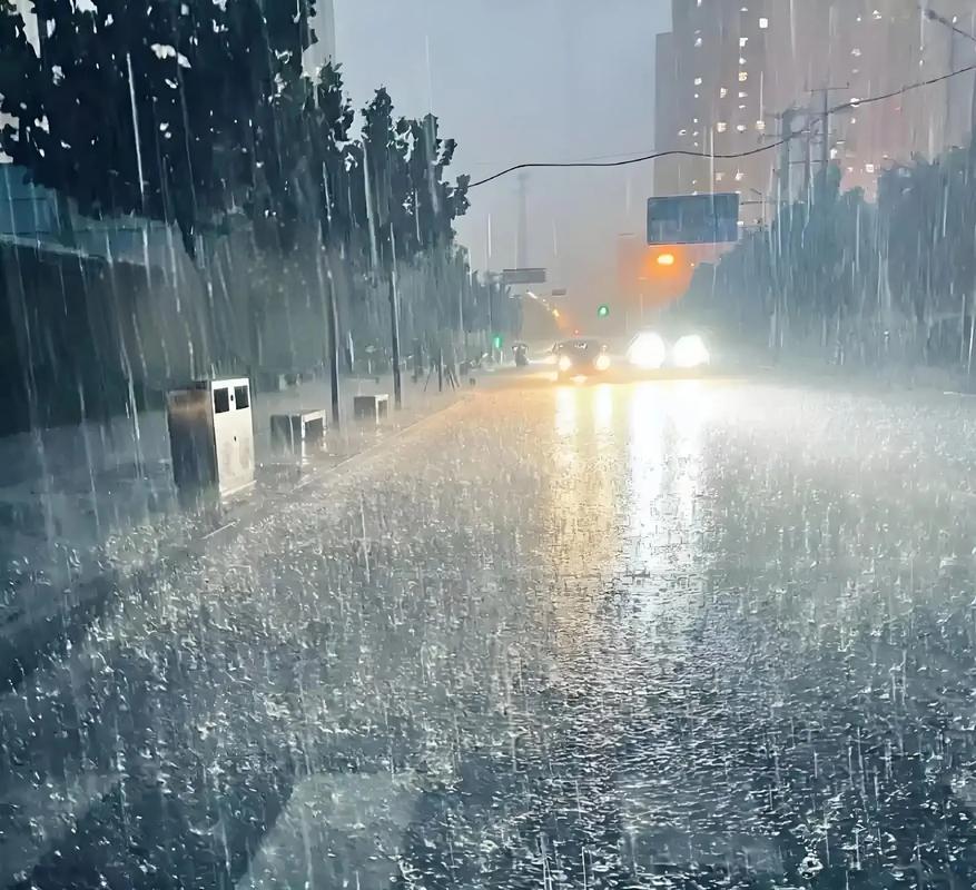 河南这场雨实在太大了
已经下了两天两夜，中间就不带停的。昨天一天瓢泼大雨没有出门