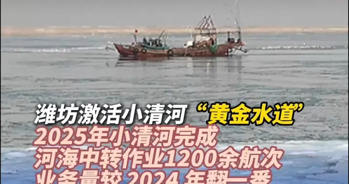 果然视频｜业务量翻番，潍坊激活小清河“黄金水道”