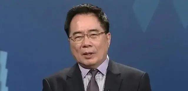 在统一台湾的问题上，蔡正元提出了三个条件，才能保住统一台湾的稳定。

蔡正元在两