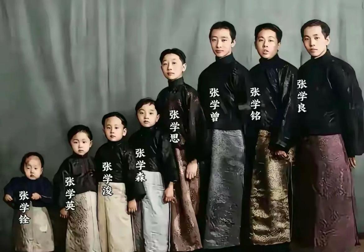 这是张作霖8个儿子齐聚的罕见合影，张作霖妻妾众多，因此8个儿子都不是一个夫人生的
