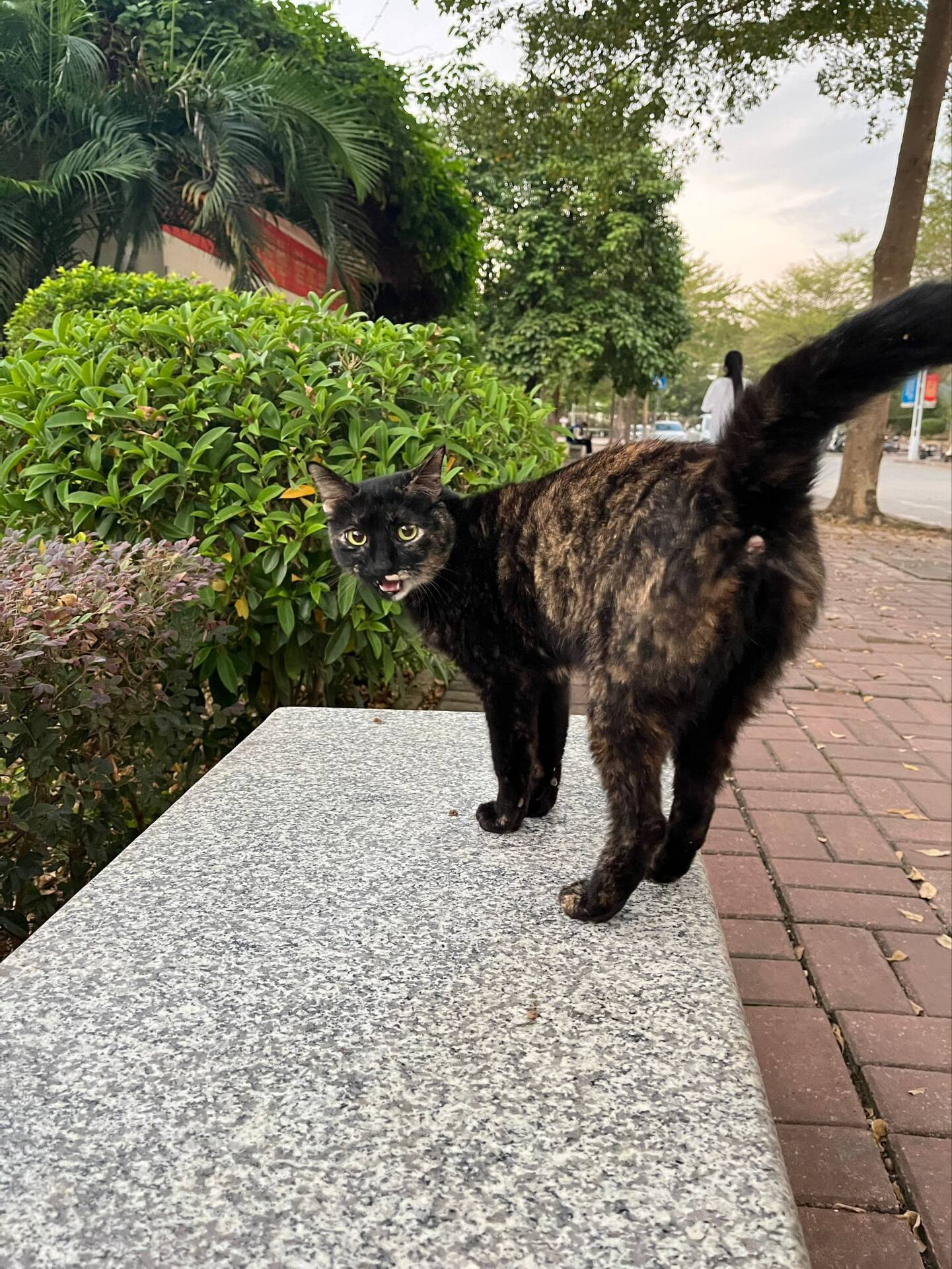 − 