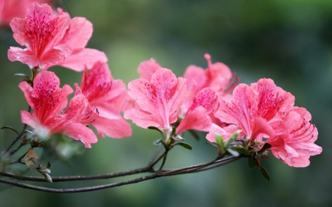 周二盘后突传新消息，周三仍聚焦个股行情！
周二盘后新消息如下：
一、据媒体报道，