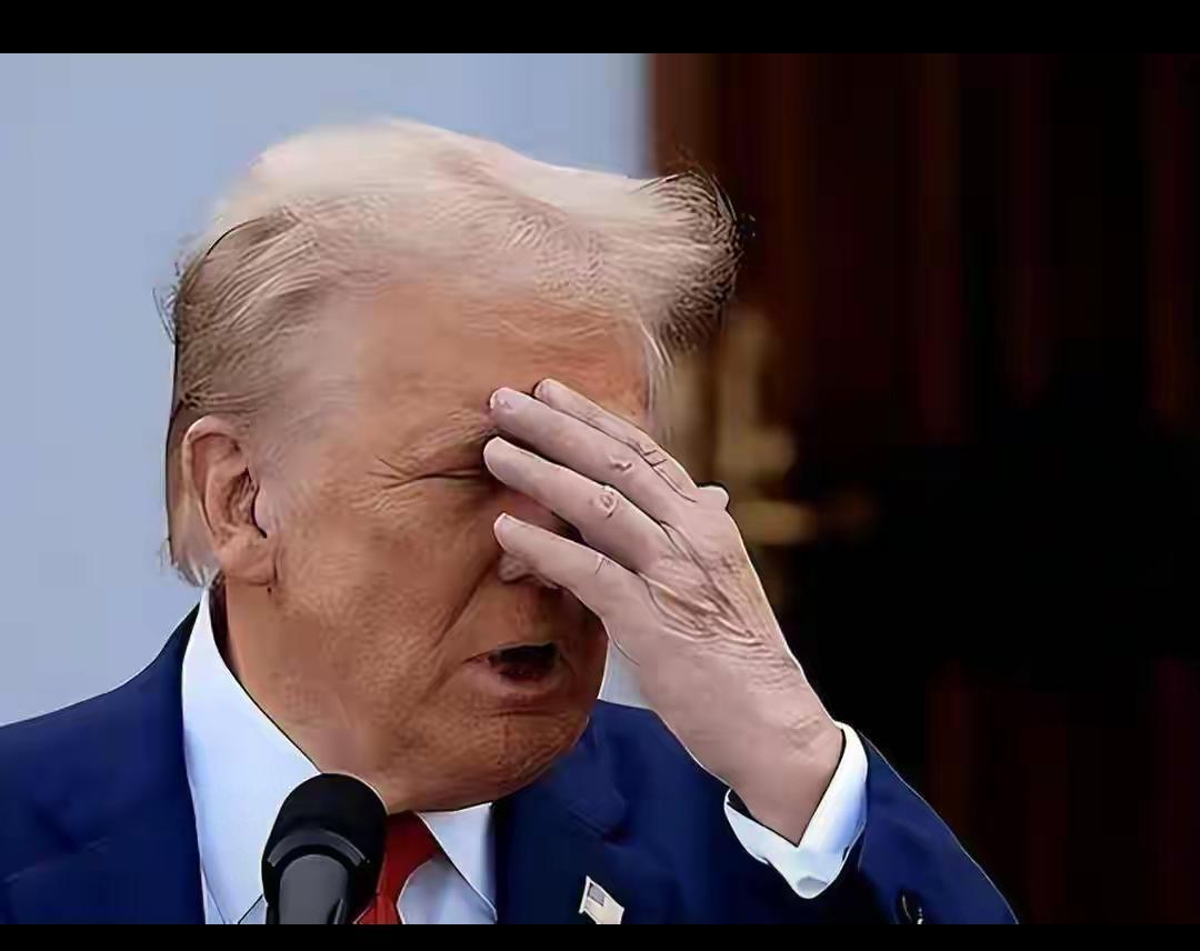 美媒：短短1年不到，从存亡边缘到超级大国，中国是怎么做到的！

2025年最打脸