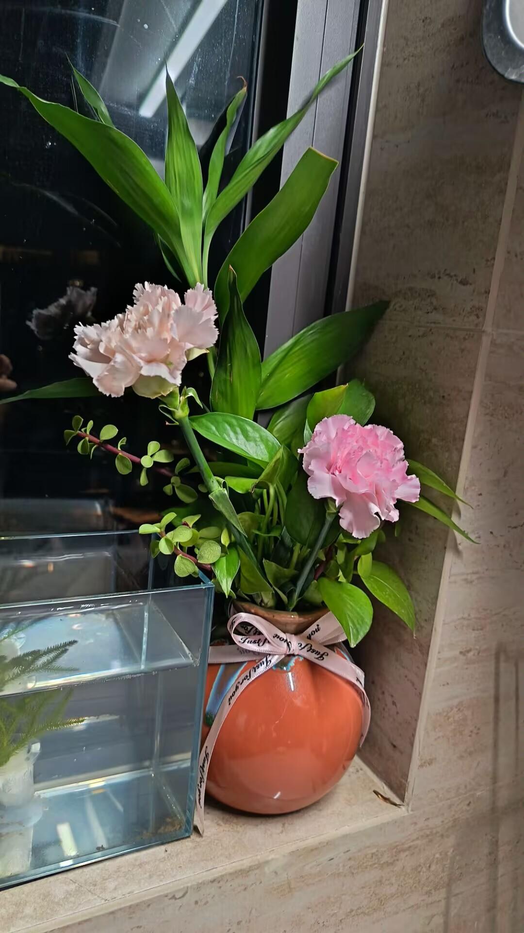 中午下班回来路上捡到2朵花，没加思索就拿回家，看看，插在花瓶里是不是很美？也很搭