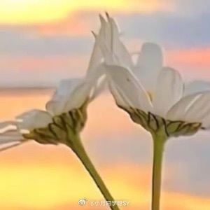 早安心语 ‧₊⋆ ❅.˳⁺⁎˚ ☃︎⋆* ❆·· ☃︎*‧₊. ⋆ ∗.˳⁺⁎˚