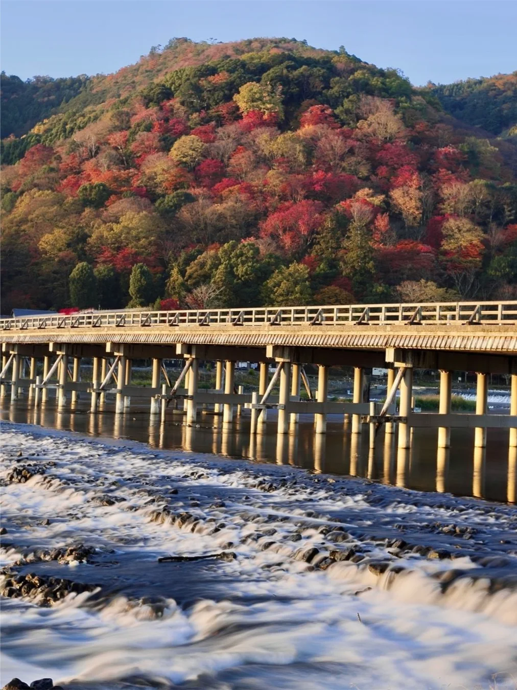 超全❗日本枫叶季必备🍁京都赏枫寺庙合集