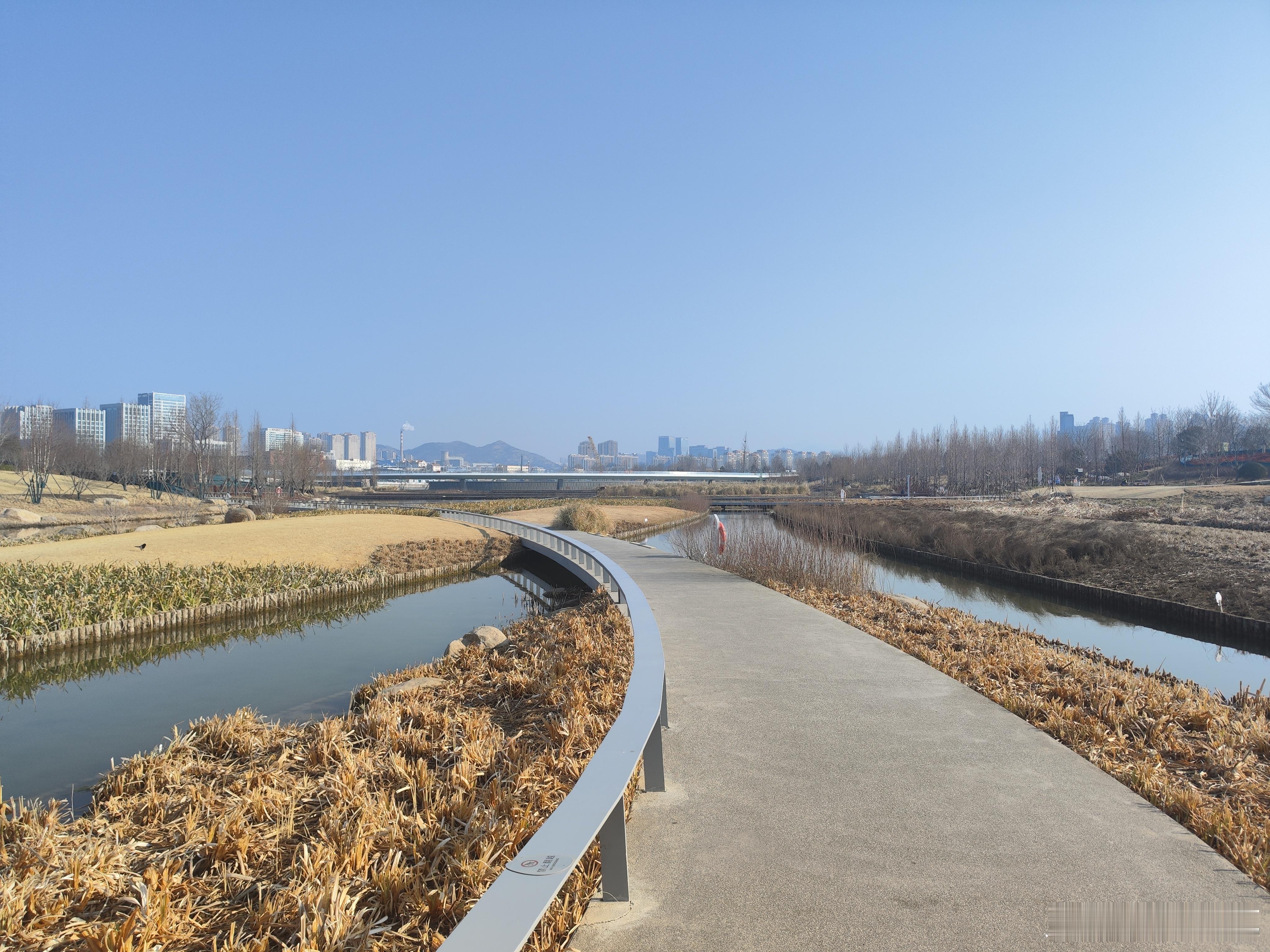 完善中的张村河生态湿地公园环境越来越好👌🏻 青岛·张村河生态公园