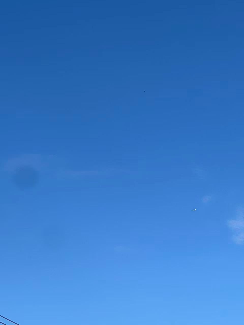 胖头莎昱_  雨停了！天真蓝！ 
