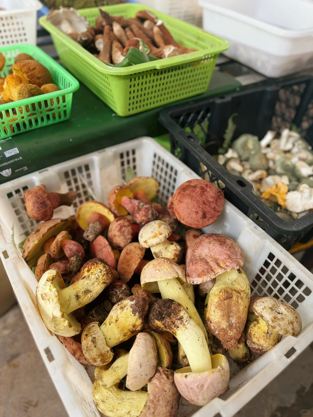 想和你在玉溪相会，一间30年的路边私房菜馆
