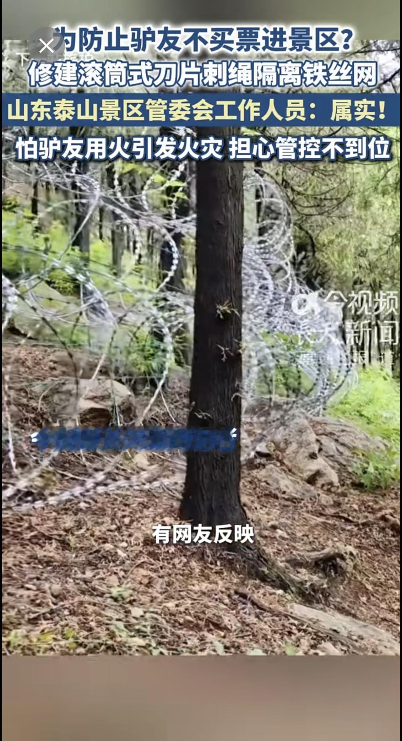 为防止驴友不买票进景区？修建滚筒式刀片刺绳隔离铁丝网，山东泰山景区管委会工作人员