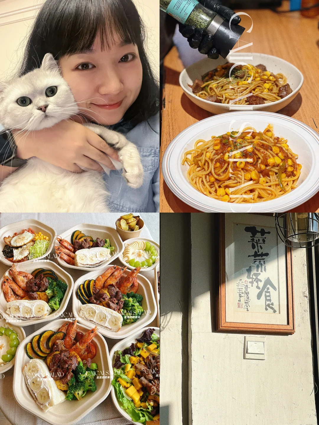 日常出餐/给学员上课/下班撸猫猫的日常