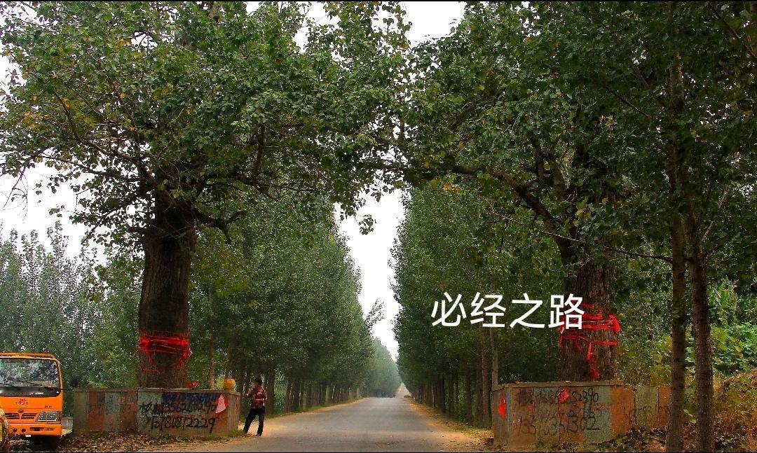 临朐柳山
     柳山坐落于临朐柳山镇东南，紧挨着昌乐县边界，距离柳山镇驻地约