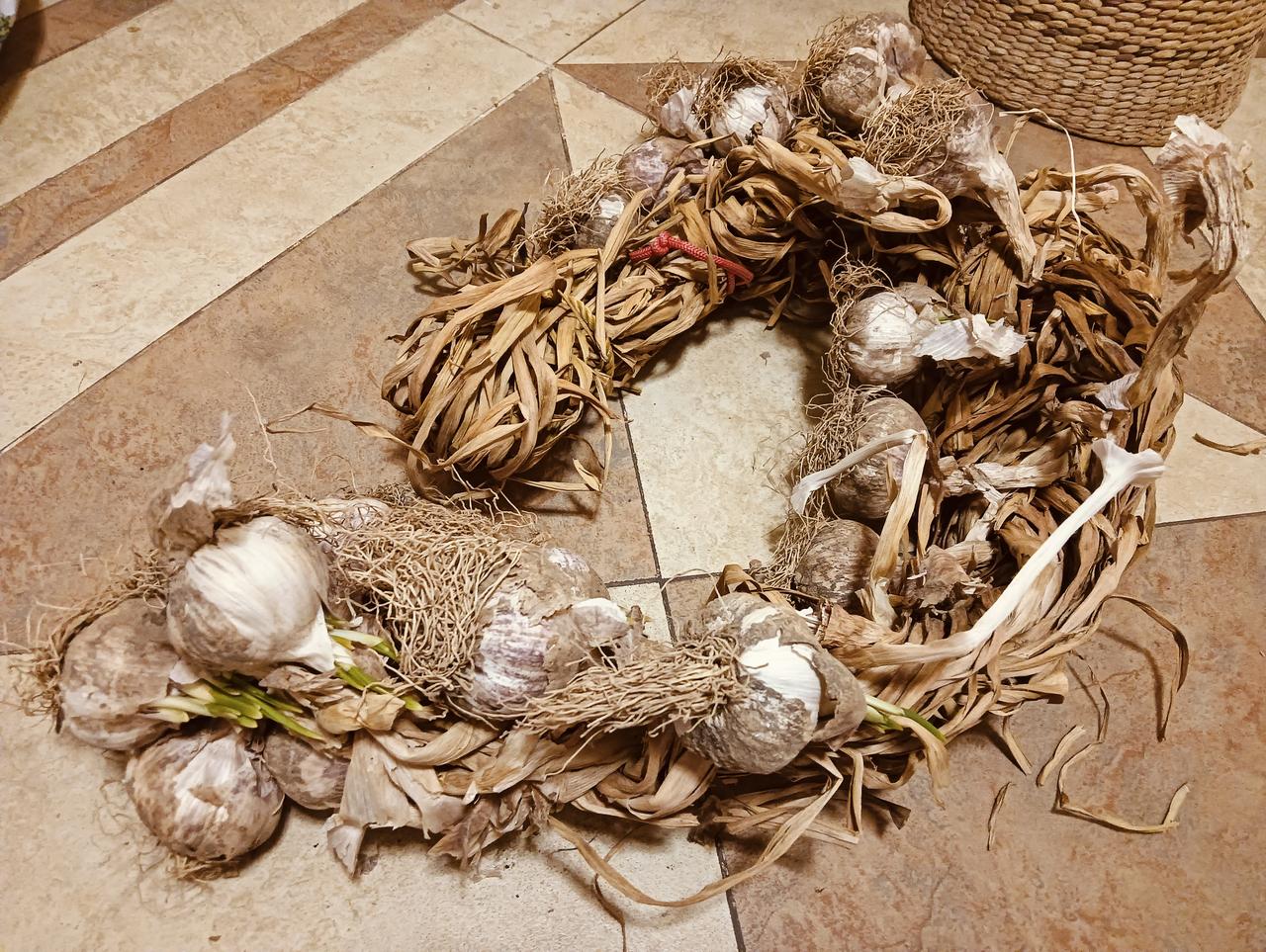 腊八蒜
过了腊八就是年，北方有做腊八蒜的习俗，恰好家里还有一辫子去年自己种的大蒜