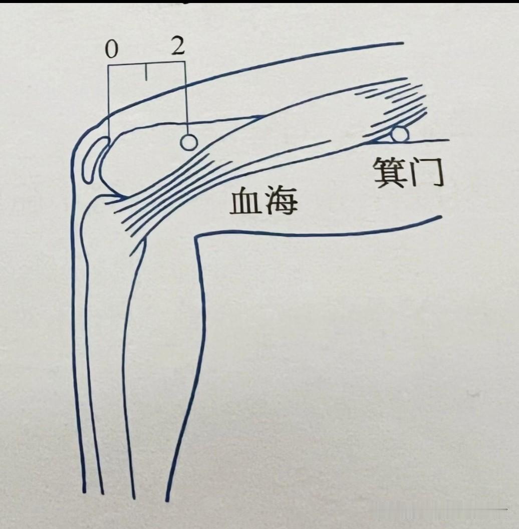 上班族中医养生攻略——不累不垮，气血自通！

上班族“续命”指南：中医不背锅，但