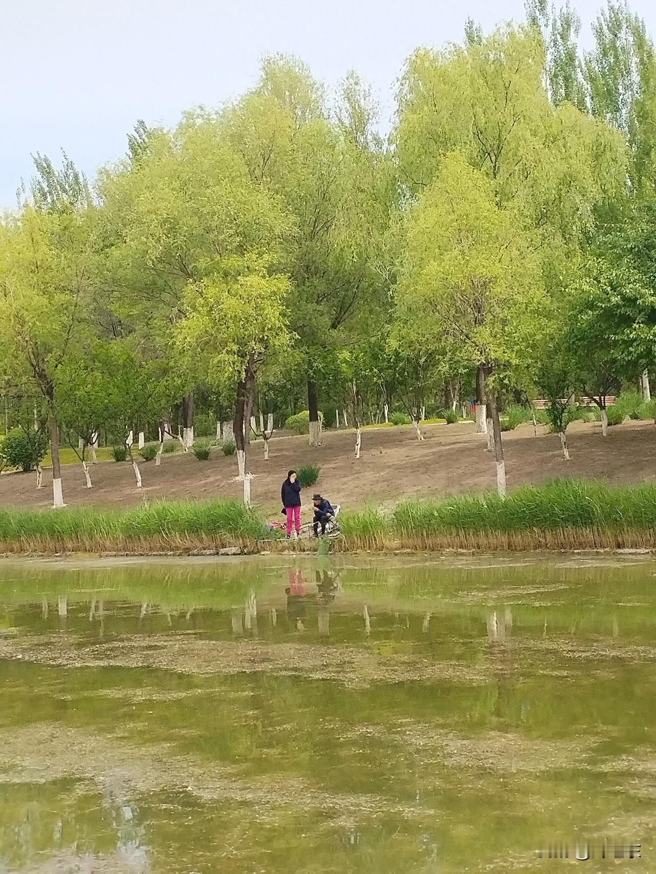 金水河畔
眯目垂纶碧水河，
两岸美景引阿婆。
燕子点水惹人醉，
请续句……
（清