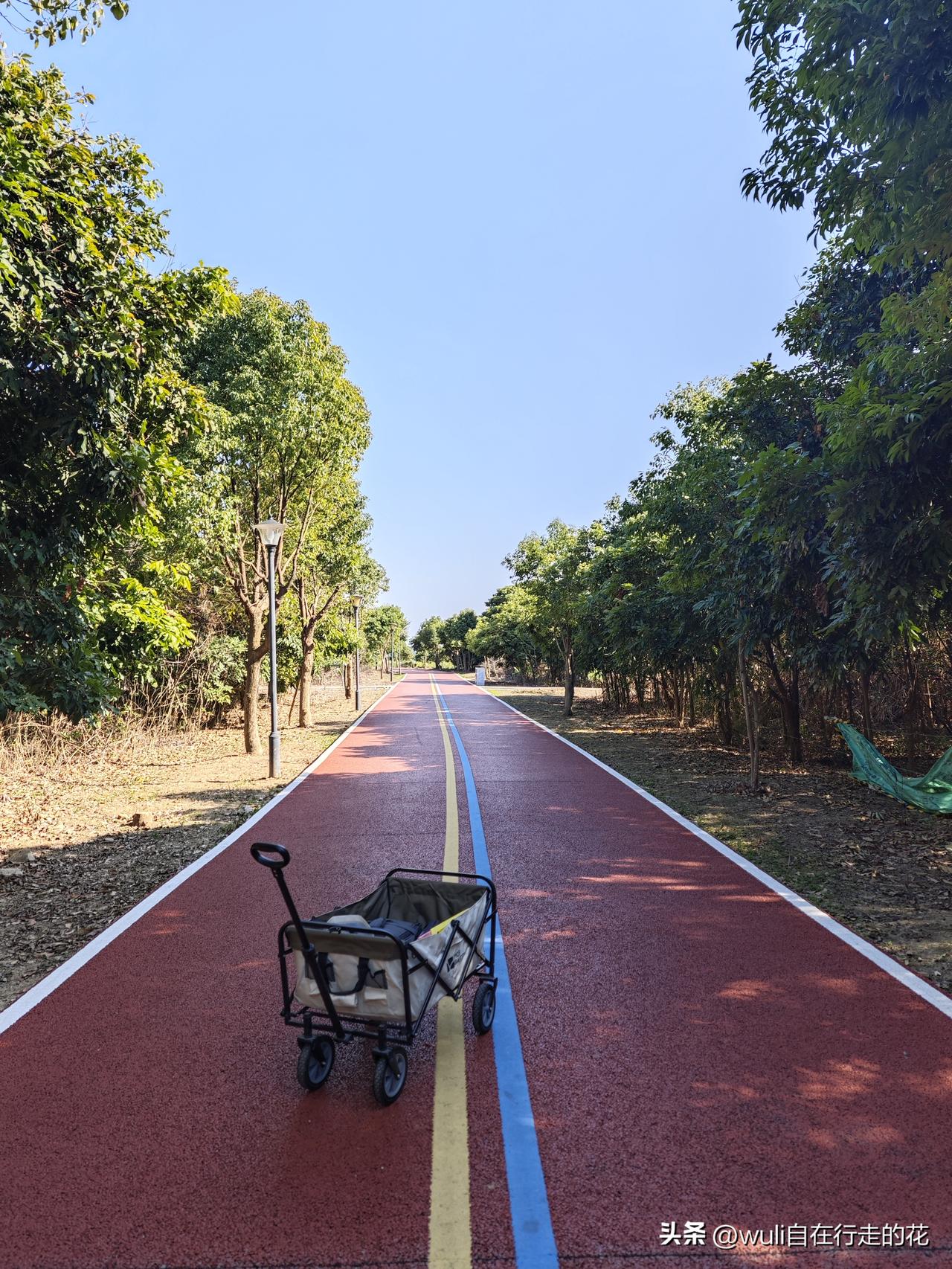 第一次到闽侯甘蔗江滨生态公园就觉得这地真是带娃玩耍的好地方。。。

入口处就有一