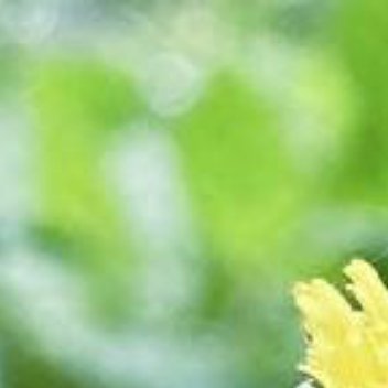 正能量[超话]正能量 别人帮你，是情分；你记着，是本分。不忘恩情，是生命中的珍贵