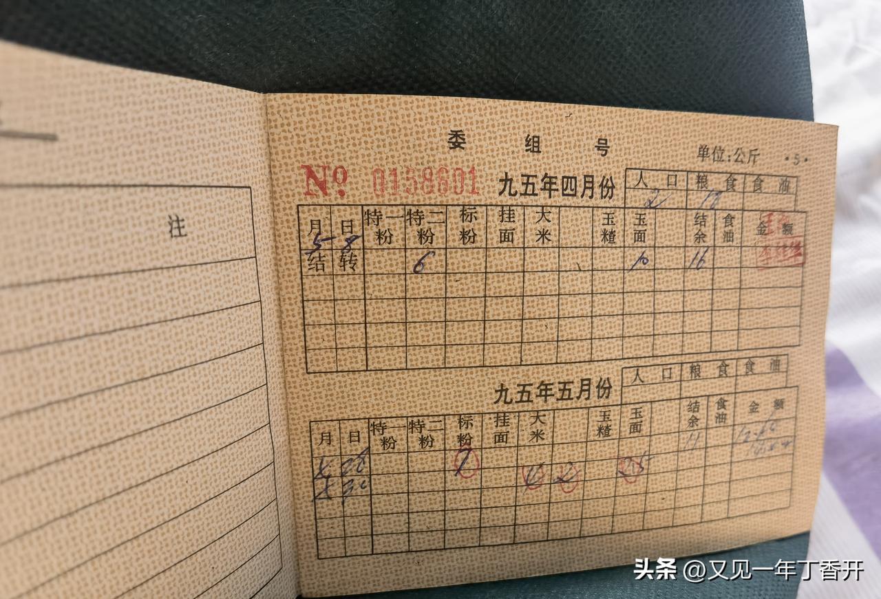 楼下垃圾箱一天能被翻至少二十遍

我一边在厨房做饭一边看热闹
现在去翻垃圾箱的，
