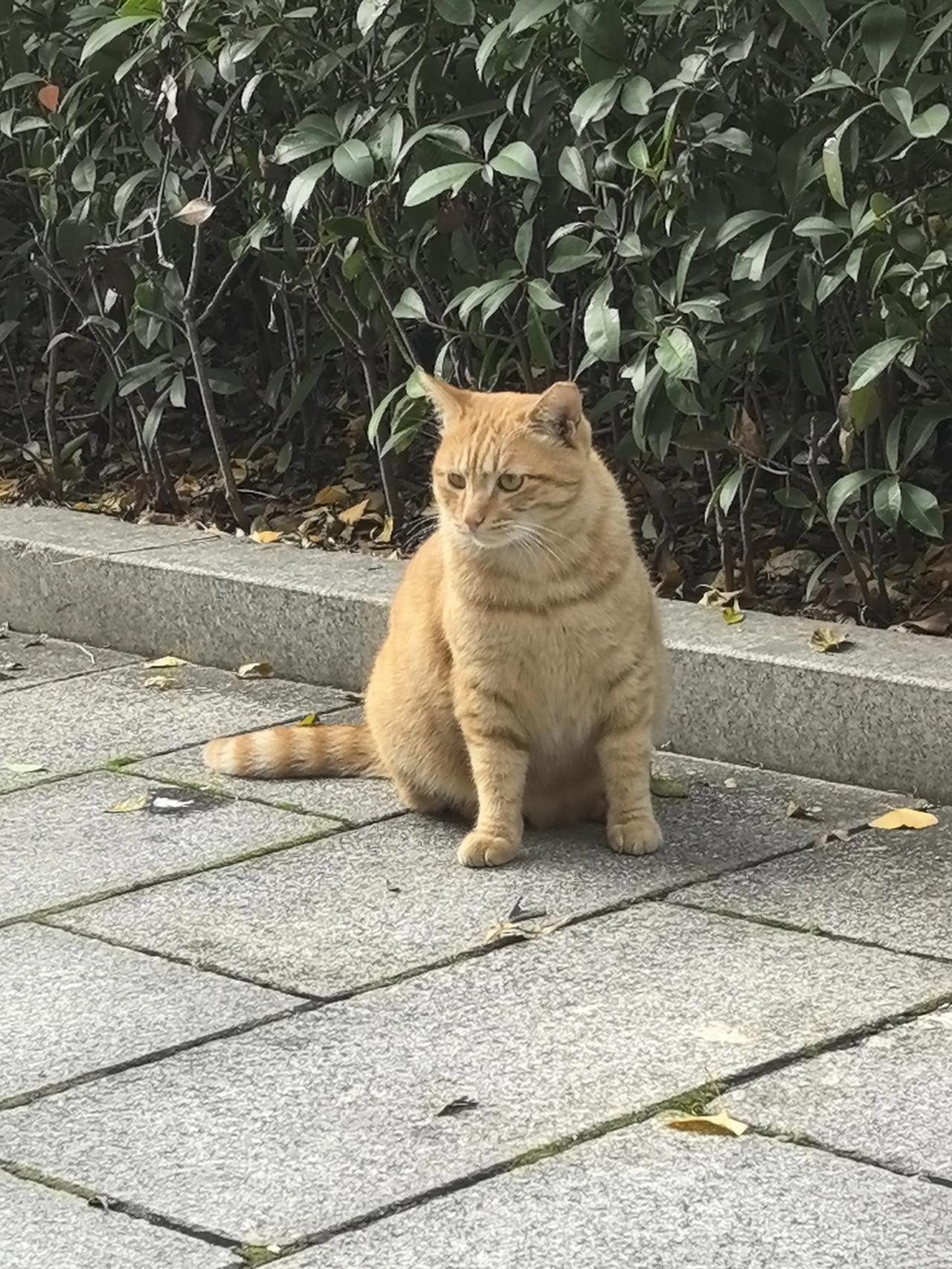 冬日生活打卡季