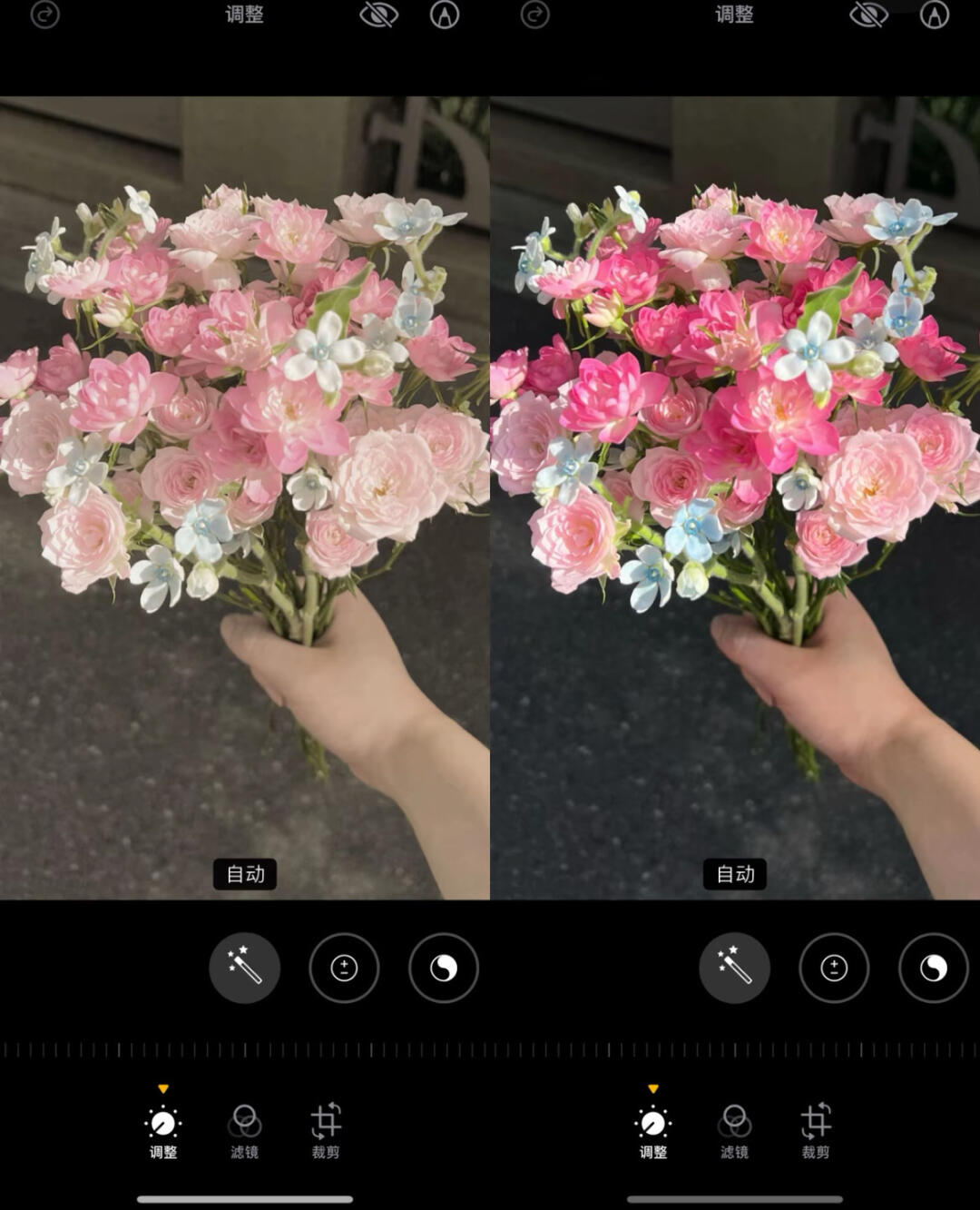 哇哦！这个鲜花调色真的好好看！