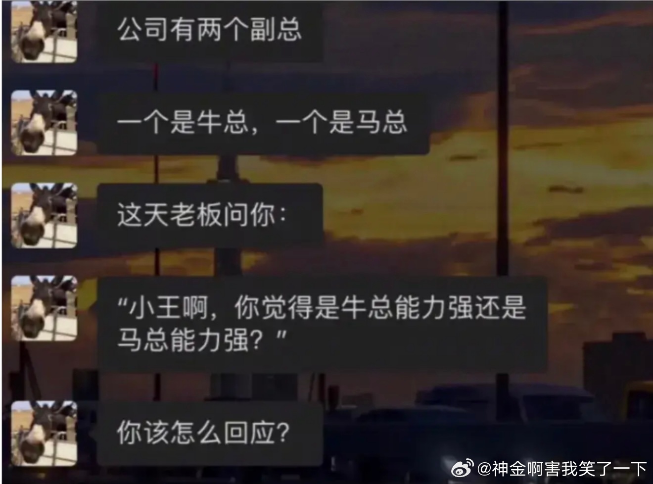 6967是牛是马拉出来溜溜就知道了 ​​​